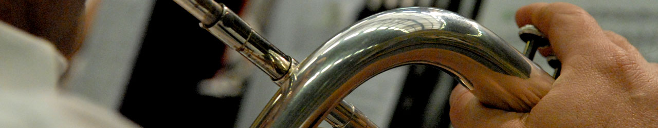 Prodiss Par province – Union des Sociétés Musicales asbl